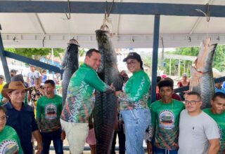 Manejo do pirarucu do Vale do Javari é destaque do Festival de Pesca de Atalaia do Norte