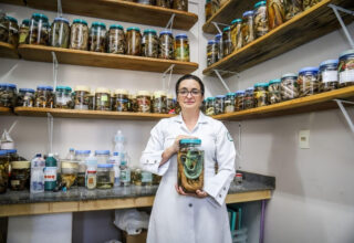 Professora da Universidade do Estado do Amazonas é reconhecida no prêmio Para Mulheres na Ciência por pesquisa sobre tratamento de acidentes com jararacas