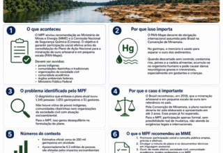 MPF recomenda inclusão de indígenas e ribeirinhos em plano nacional contra uso de mercúrio no garimpo